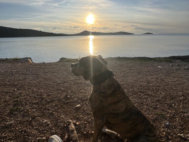 Ein sonniger Tag am Meer – Kraft tanken für die kommende Saison